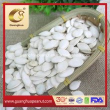 New Crop Best Quality Snow White Pumpkin Seeds